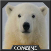 Polar